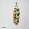 1Pcs Rattan Ball Funny Parrots Supplies Interactive Toys Bird